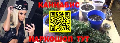 прущие грибы Братск