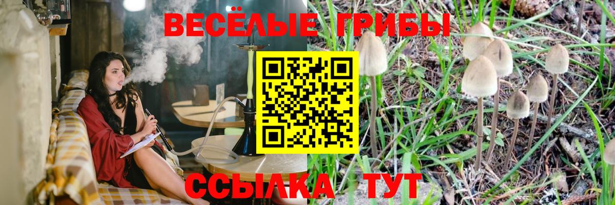 Псилоцибиновые грибы GOLDEN TEACHER Ростов-на-Дону