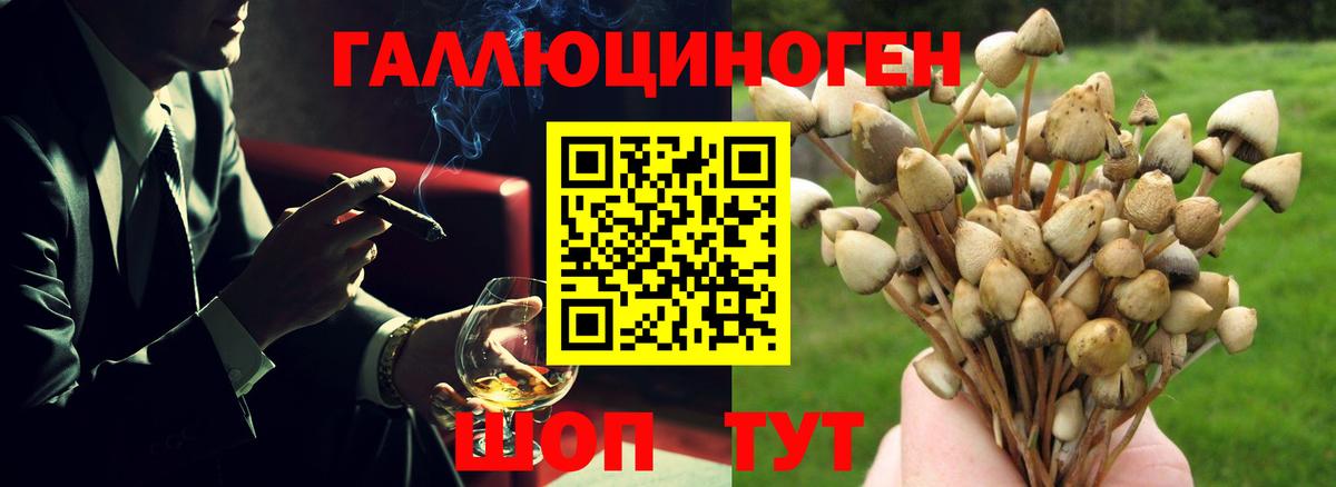Псилоцибиновые грибы Psilocybine cubensis  Вход с VPN  Галлюциногенные грибы мухоморы  Ростов-на-Дону 